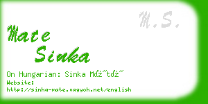 mate sinka business card